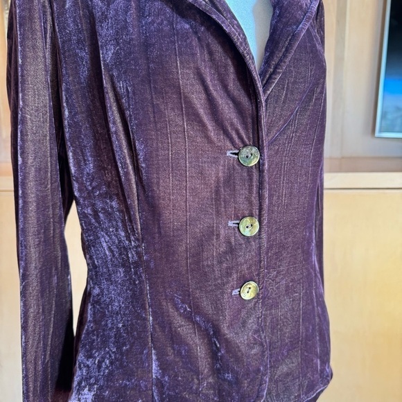 Jon Crush Textured Velvet and Silk Purple Iridescent Blazer - Picture 8 of 12